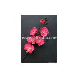 artificial flower--artificial moth orchid--phalaenopsis;moth orchid