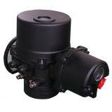 Rotary Actuator Electric Iqt2 Qt20 Iqt20-1 Iqt20-2 thumbnail-3