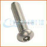 China Supplier Anti-theft Screw Stainless Steel