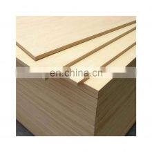 Good Quality Custom Size Indoor Decoration Plywood for Door Making thumbnail-3