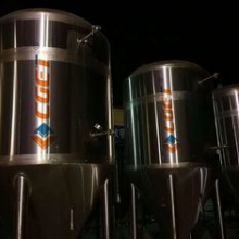 Custom 1000L Stainless Steel Wine Fermentation Tank for Breweries thumbnail-5