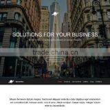 Professional CMS Web Design thumbnail-2