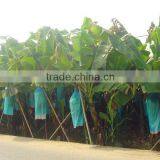Banana Pest Prevention Plastic Bunch Bags With Holes