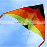 3m Delta Kite
