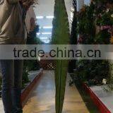 Whosale Green Fortune Tree Leaf