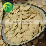 Shine Skin Pumpkin Seeds High Quality thumbnail-1