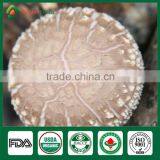 Anti-cancer Edibal Fungus Healthy Food Greenhouse Production Cap Stem Wholepart Fresh Dried Shiitake Mushroom thumbnail-1
