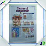 Plastic Embossed 3d Medical Poster/anatomical Chart (teeth)