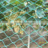 Anti-birds or Birds Protection Nylon or Polyester Nets