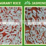 PREMIUM FRAGRANT RICE 5% BROKEN - KDM - LOWEST PRICE - HOT SELLING thumbnail-1