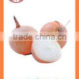 2016 BUlk MARKET PRICE Fresh Yellow Onion thumbnail-6