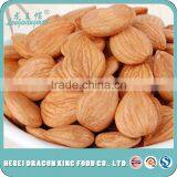 2016 Bulk Buying Top Quality Food Ingredients Sweet Apricot Kernel From China Factory thumbnail-2