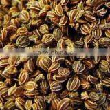 No. 1 Exporter of Celery Seed Essential Oil thumbnail-2