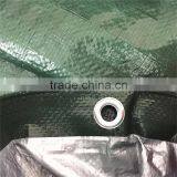 Grey Brezentas thumbnail-4