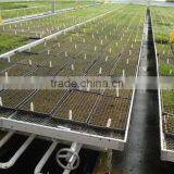 Movable Beach System for Flowers thumbnail-2