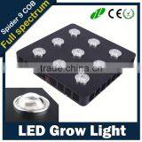 Igrow New Product Distributor Wanted Lettuce Autopot African Violet Menards Led Grow Light