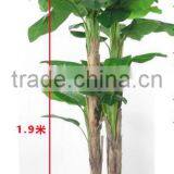Indoor Artificial Banana Tree Bonsai Potted Plants for Sale thumbnail-5
