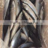 Sea Frozen Mackerel 300-500g 2016 thumbnail-1