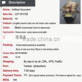 Cheap Wholesale Artificial Succulent Plants Tropical Plants thumbnail-5