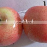 2PCS Big Artificial Weighted Red Apples Faux Fruits Fake Fruits