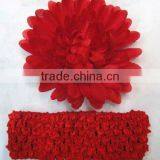 MUM Flower Head HYL05295 thumbnail-1