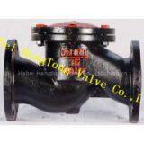 Lifting Check Valve