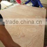 Plywood Manufacturer thumbnail-3