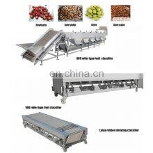 Multi-function Apple Potato Tomato Round Vegetable GJFJ500 Orbital Type Date Sorting Sorter Machine thumbnail-5