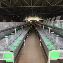 Industrial Breeding Rabbit Cages System Farm Cage 24/set thumbnail-5