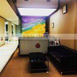 Guangdong Younghead Electronic Technology Co., Ltd. company overview - view 2 thumbnail