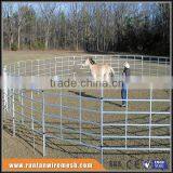 Australia hot dipped galvanized horse steel fencing Used In Farm (Factory Trade Assurance)