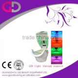 2016 best Guangzhou infrared ozone slimming spa capsule with led