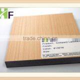 Compact Laminate/Toliet Cubicle Board/Compact Chair Panel/Contertop/Ceiling Board