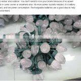 New Strawberry Fruit String Garden Lighting Led Garden Lampnew Strawberry Fruit String Garden Lighting Led Garden Lamp thumbnail-3