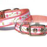 Fashion Lanyard Nylon Dog Collar