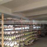 Xiamen Jchope Trade Co., Ltd. company overview - view 2 thumbnail