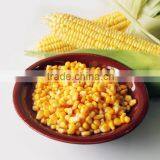 High Quality and Cheap Wholesale Best Canned Food Factory thumbnail-3