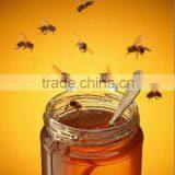 Buckwheat Honey -- Adequate Quality thumbnail-1