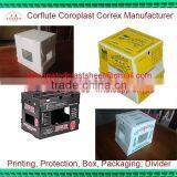 Foldable pp Plastic Asparagus Packing Boxes