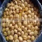 Kinds of Champignon Mushrooms Preserved Agaricus Bisporus in Brined in 50kg Drum thumbnail-1