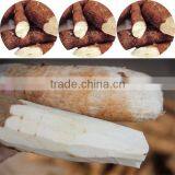 Manioc Peeler Equipment thumbnail-6