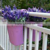 Garden Home Wall-mounted Flowerpots thumbnail-1