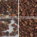 New Arrival Machine CCD Seed Color Separating Machine thumbnail-3