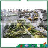 China Frozen Vegetable Production Line,Green Peas Quick Freezing Processing Equipment thumbnail-3