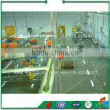 SP-I Pretreatment Production Line for Quick Frozen Vefetable thumbnail-6
