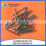 Iron Nail/ Common Wire Nail/Common Iron Nails