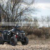 CUADRONES thumbnail-2