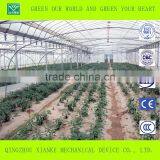 Multi-Span Seeding Greenhouse in Winter thumbnail-3