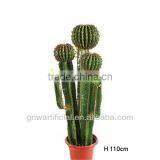 GNW G85 Tropical Tree Plant Larger Pot Home Decoration Hot Sell