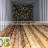 Big Building Bamboo Poles for Hotel thumbnail-3